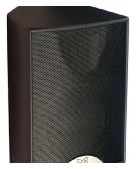 Martin Audio F12